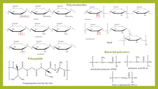 Polysaccharides
Polypeptide
Bacterial polyesters
 