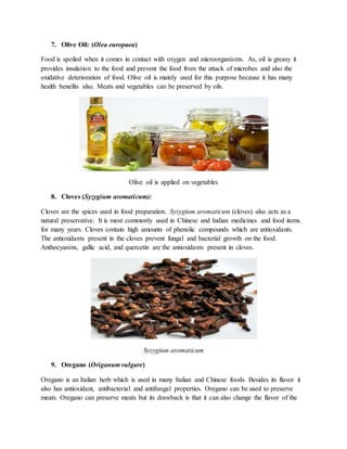 7. Olive Oil: (Olea europaea)
Food is spoiled when it comes in contact with oxygen and microorganisms. As, oil is greasy it
provides insulation to the food and prevent the food from the attack of microbes and also the
oxidative deterioration of food. Olive oil is mainly used for this purpose because it has many
health benefits also. Meats and vegetables can be preserved by oils.
Olive oil is applied on vegetables
8. Cloves (Syzygium aromaticum):
Cloves are the spices used in food preparation. Syzygium aromaticum (cloves) also acts as a
natural preservative. It is most commonly used in Chinese and Indian medicines and food items.
for many years. Cloves contain high amounts of phenolic compounds which are antioxidants.
The antioxidants present in the cloves prevent fungal and bacterial growth on the food.
Anthocyanins, gallic acid, and quercetin are the antioxidants present in cloves.
Syzygium aromaticum
9. Oregano (Origanum vulgare)
Oregano is an Italian herb which is used in many Italian and Chinese foods. Besides its flavor it
also has antioxidant, antibacterial and antifungal properties. Oregano can be used to preserve
meats. Oregano can preserve meats but its drawback is that it can also change the flavor of the
 