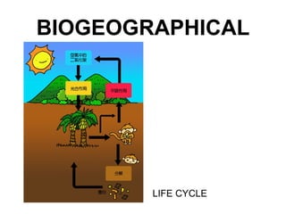 High Order Processes