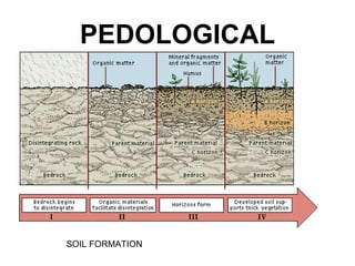 High Order Processes
