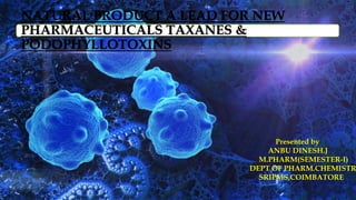 NATURAL PRODUCT A LEAD FOR NEW
PHARMACEUTICALS TAXANES &
PODOPHYLLOTOXINS
Presented by
ANBU DINESH.J
M.PHARM(SEMESTER-I)
DEPT OF PHARM.CHEMISTR
SRIPMS,COIMBATORE
 