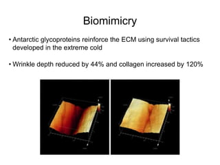 Biomimicry
• Antarctic glycoproteins reinforce the ECM using survival tactics
  developed in the extreme cold

• Wrinkle depth reduced by 44% and collagen increased by 120%
 
