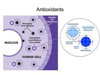 Antioxidants
 