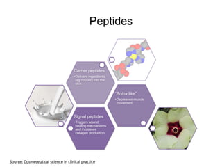Peptides



                                     Carrier peptides
                                     •Delivers ingredients
                                      (eg copper) into the
                                      skin


                                                             “Botox like”
                                                             •Decreases muscle
                                                              movement



                                     Signal peptides
                                     •Triggers wound
                                      healing mechanisms
                                      and increases
                                      collagen production




Source: Cosmeceutical science in clinical practice
 