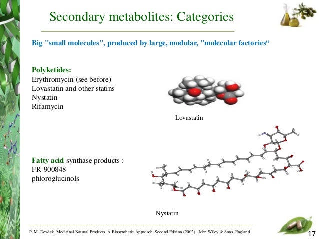 Medicinal Natural Products Wiley And Sons Medicinal Natural Products Wiley And Sons