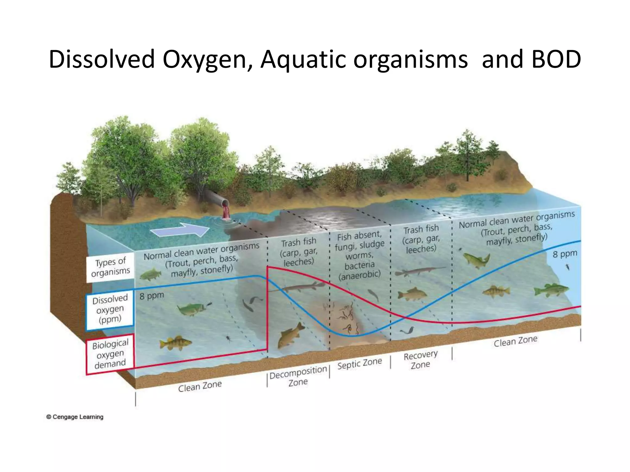 Dissolved Oxygen, Aquatic organisms and BOD 
 