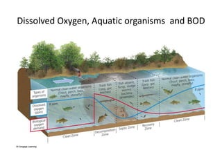 Dissolved Oxygen, Aquatic organisms and BOD 
 