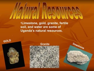 . GOLD limestone ,[object Object],Granite Natural Resources 
