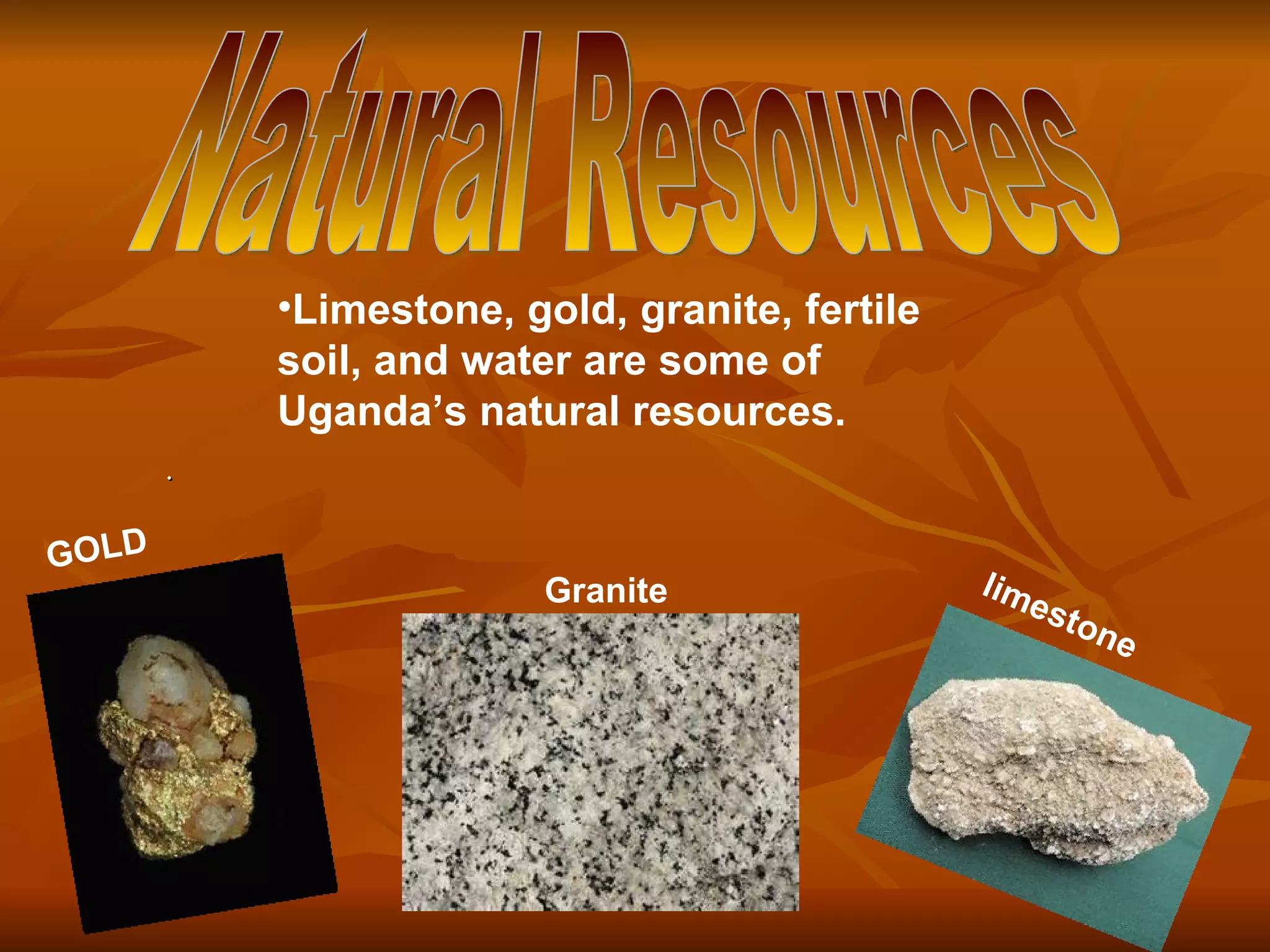 . GOLD limestone Limestone, gold, granite, fertile soil, and water are some of Uganda’s natural resources. Granite Natural Resources