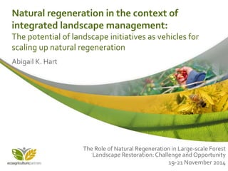 Natural regeneration in the context of
integrated landscape management:
The potential of landscape initiatives as vehicles for
scaling up natural regeneration
Abigail K. Hart
The Role of Natural Regeneration in Large-scale Forest
Landscape Restoration: Challenge and Opportunity
19-21 November 2014
 