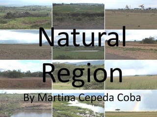 Natural 
Region 
By Martina Cepeda Coba 
 