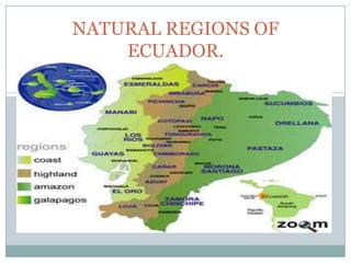 NATURAL REGIONS OF
    ECUADOR.
 