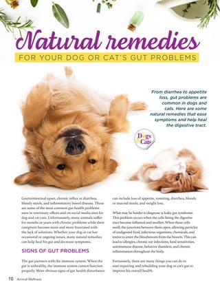10 Animal Wellness
From diarrhea to appetite
loss, gut problems are
common in dogs and
cats. Here are some
natural remedies that ease
symptoms and help heal
the digestive tract.
FOR YOUR DOG OR CAT’S GUT PROBLEMS
D gs
Cats
Gastrointestinal upset, chronic reflux or diarrhea,
bloody stools, and inflammatory bowel disease. These
are some of the most common gut health problems
seen in veterinary offices and on social media sites for
dog and cat care. Unfortunately, many animals suffer
for months or years with chronic problems while their
caregivers become more and more frustrated with
the lack of solutions. Whether your dog or cat has
occasional or ongoing issues, many natural remedies
can help heal his gut and decrease symptoms.
SIGNS OF GUT PROBLEMS
The gut partners with the immune system. When the
gut is unhealthy, the immune system cannot function
properly. More obvious signs of gut health disturbance
can include loss of appetite, vomiting, diarrhea, bloody
or mucoid stools, and weight loss.
What may be harder to diagnose is leaky gut syndrome.
This problem occurs when the cells lining the digestive
tract become inflamed and swollen. When these cells
swell, the junctions between them open, allowing particles
of undigested food, infectious organisms, chemicals, and
toxins to enter the bloodstream from the bowels. This can
lead to allergies, chronic ear infections, food sensitivities,
autoimmune disease, behavior disorders, and chronic
inflammation throughout the body.
Fortunately, there are many things you can do to
start repairing and rebuilding your dog or cat’s gut to
improve his overall health.
Natural remedies
 