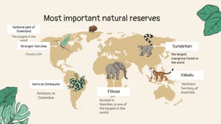 Natural Reserves.pptx