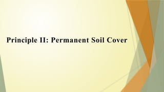 Principle II: Permanent Soil Cover
 