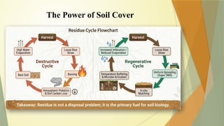 The Power of Soil Cover
 