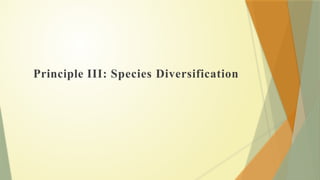 Principle III: Species Diversification
 