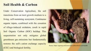 Soil Health & Carbon
Under Conservation Agriculture, the soil
transitions from an inert growth medium to a
living, self-sustaining ecosystem. Continuous
organic inputs, combined with the cessation
of tillage-induced oxidation, result in rapid
Soil Organic Carbon (SOC) buildup. This
sequestration not only mitigates global
greenhouse gas emissions but fundamentally
restores the soil's cation exchange capacity
(CEC) and biological fertility.
Source: https://agreena.com/news/soil-carbon-boost-soil-health/
 