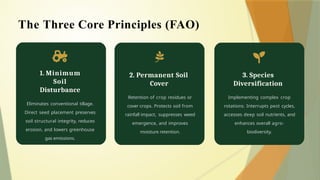 1. Minimum
Soil
Disturbance
Eliminates conventional tillage.
Direct seed placement preserves
soil structural integrity, reduces
erosion, and lowers greenhouse
gas emissions.
2. Permanent Soil
Cover
Retention of crop residues or
cover crops. Protects soil from
rainfall impact, suppresses weed
emergence, and improves
moisture retention.
3. Species
Diversification
Implementing complex crop
rotations. Interrupts pest cycles,
accesses deep soil nutrients, and
enhances overall agro-
biodiversity.
The Three Core Principles (FAO)
 
