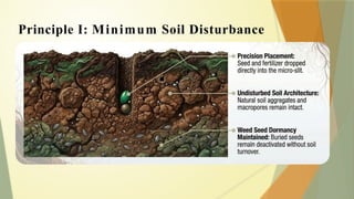 Principle I: Minimum Soil Disturbance
 