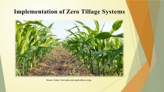 Implementation of Zero Tillage Systems
Source: https://eruvaaka.com/agriculture-crops
 