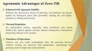 Enhanced Soil Aggregate Stability
Without the destructive forces of plowing, soil particles are bound
tightly by biological glues (like glomalin), making the soil highly
resistant to slaking and erosion.
Thermal Regulation
An undisturbed surface, especially when combined with mulch,
buffers the topsoil against extreme diurnal temperature fluctuations,
protecting delicate root systems.
Timeliness of Operations
Farmers can sow seeds immediately after the previous harvest
without waiting for intensive land preparation, maximizing the
growing season length and yield potential.
Agronomic Advantages of Zero-Till
 