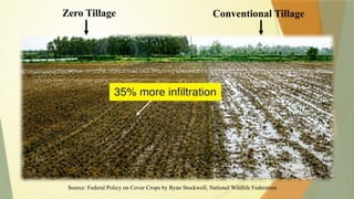 Zero Tillage Conventional Tillage
Source: Federal Policy on Cover Crops by Ryan Stockwell, National Wildlife Federation
 