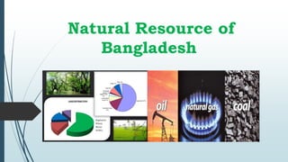 Natural Resource of
Bangladesh
 