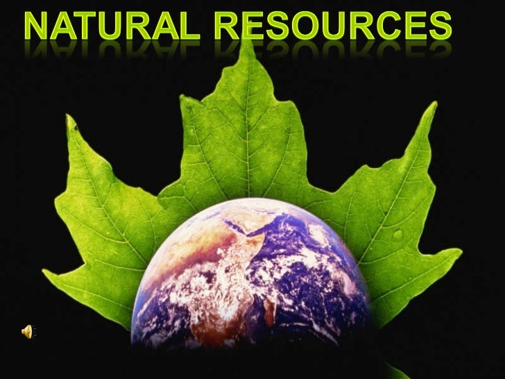 Natural Resources Article 113