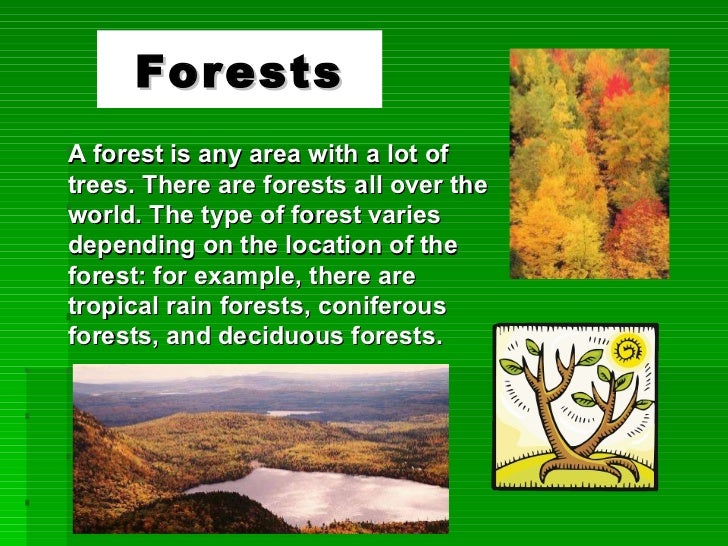 forest resources examples natural resources examples