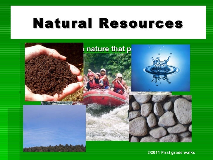 Some Examples Of Natural Resources Some Examples Of Natural Resources