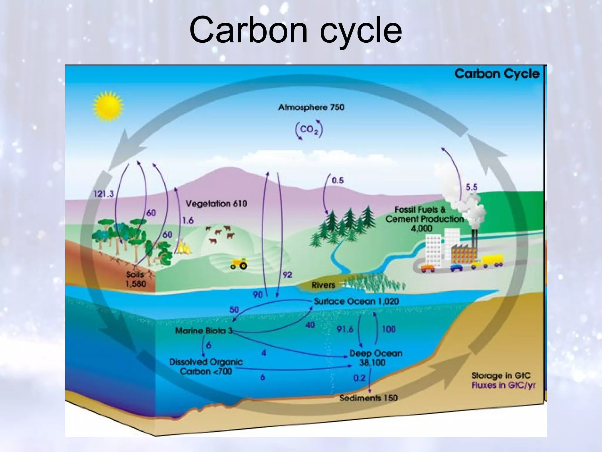 Carbon cycle
 