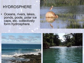 HYDROSPHERE
• Oceans, rivers, lakes,
ponds, pools, polar ice
caps, etc. collectively
form hydrosphere.
 