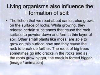Living organisms also influence the
formation of soil:
• The lichen that we read about earlier, also grows
on the surface of rocks. While growing, they
release certain substances that cause the rock
surface to powder down and form a thin layer of
soil. Other small plants like moss, are able to
grow on this surface now and they cause the
rock to break up further. The roots of big trees
sometimes go into cracks in the rocks and as
the roots grow bigger, the crack is forced bigger.
(image / animation)
 