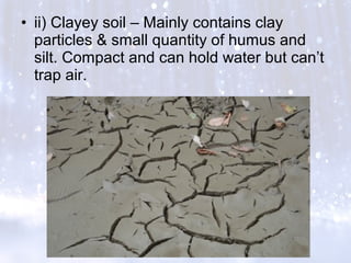 • ii) Clayey soil – Mainly contains clay
particles & small quantity of humus and
silt. Compact and can hold water but can’t
trap air.
 