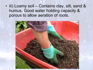 • iii) Loamy soil – Contains clay, silt, sand &
humus. Good water holding capacity &
porous to allow aeration of roots.
 