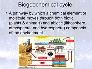 Biogeochemical cycle
• A pathway by which a chemical element or
molecule moves through both biotic
(plants & animals) and abiotic (lithosphere,
atmosphere, and hydrosphere) componets
of the environment.
 