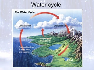 Water cycle
 