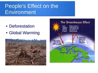 People's Effect on the
Environment
● Deforestation
● Global Warming
 