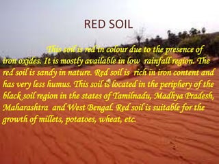 RED SOIL
This soil is red in colour due to the presence of
iron oxides. It is mostly available in low rainfall region. The
red soil is sandy in nature. Red soil is rich in iron content and
has very less humus. This soil is located in the periphery of the
black soil region in the states of Tamilnadu, Madhya Pradesh,
Maharashtra and West Bengal. Red soil is suitable for the
growth of millets, potatoes, wheat, etc.
 
