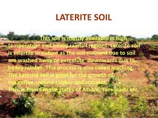 LATERITE SOIL
This soil is mostly available in high
temperature and heavy rainfall regions. Laterite soil
is infertile in nature as the soil nutrient due to soil
are washed away or percolate downwards due to
heavy rainfall. This process is also called leaching.
The Laterite soil is good for the growth of
tea,coffee,cashew rubber and coconut.
This is found in the states of Assam, Tamilnadu etc.
 