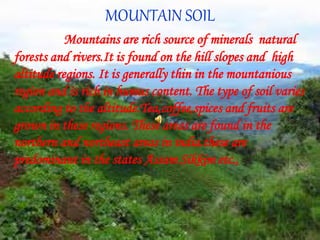 MOUNTAIN SOIL
Mountains are rich source of minerals natural
forests and rivers.It is found on the hill slopes and high
altitude regions. It is generally thin in the mountanious
region and is rich in humus content. The type of soil varies
according to the altitude.Tea,coffee,spices and fruits are
grown in these regions. These areas are found in the
northern and northeast areas in india.these are
predominant in the states Assam Sikkim etc.,
 