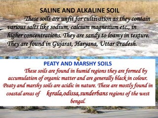 SALINE AND ALKALINE SOIL
These soils are unfit for cultivation as they contain
various salts like sodium, calcium magnesium etc., in
higher concentrations. They are sandy to loamy in texture.
They are found in Gujarat, Haryana, Uttar Pradesh.
PEATY AND MARSHY SOILS
These soils are found in humid regions they are formed by
accumulation of organic matter and are generally black in colour.
Peaty and marshy soils are acidic in nature. These are mostly found in
coastal areas of kerala,odissa,sunderbans regions of the west
bengal.
 