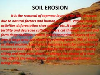 SOIL EROSION
It is the removal of topmost layer of the soil. It occurs
due to natural factors and human activities. Various human
activities deforestation river erosion etc.,It causes loss of
fertility and decrease cultivity.Rivers cut through the soil and
form deep channels called gullies sometimes layers of soil
over a large area are moved by running water. This is known
as sheet erosion. Land which becomes unfit for cultivation is
known as bad lands. Soil eroded by the rivers causes heavy
silting and may even divert or change the course of a river.
This affects the water table, plants, animals and human
beings alike.
 