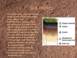 SOIL PROFILE
* Soil profile refers to a vertical cross
section of the soil from the surface
to the parent rock.
*The O-Horizon is the upper most
layer of the soil. It is dark in color
due to humus present in the soil.
*The second layer is the A-Horizon
or top soil. It experiences leaching
and also contains humus which
provides plants with nutrients.
* The next layer is the B-Horizon. It
contains minerals. It has lesser
amount of humus
* C-Horizon consists mostly of
weathered parent rocks.
*The last layer is the R-Horizon or
the parent rock.
SOIL PROFILE
 