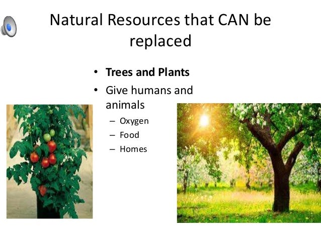 Why Do Humans Need Natural Resources Why Do Humans Need Natural Resources