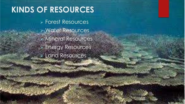 kinds of natural resources natural resources examples 2018 12 22 natural resources examples