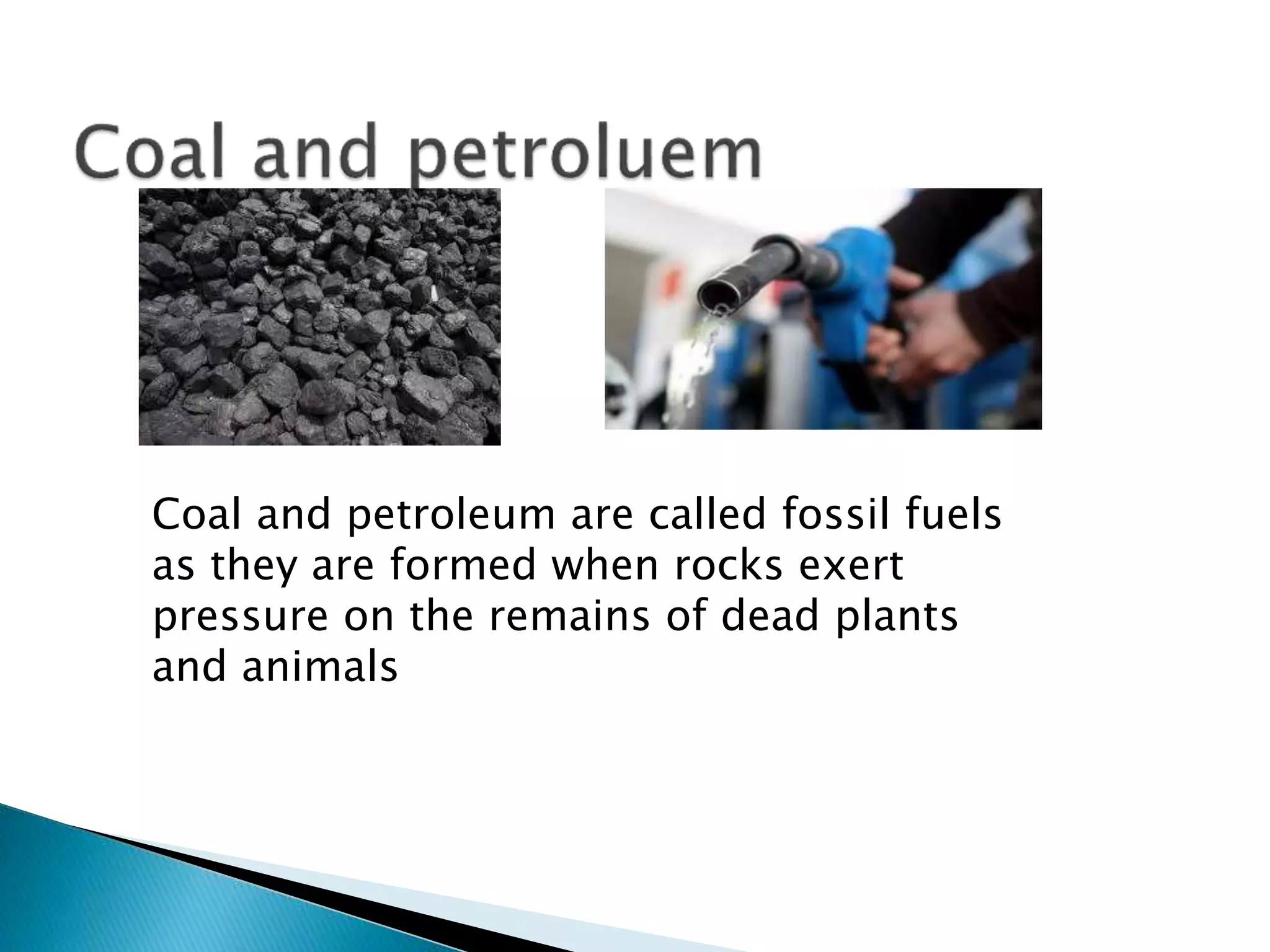 Coal and petroleum are called fossil fuels
as they are formed when rocks exert
pressure on the remains of dead plants
and animals
 
