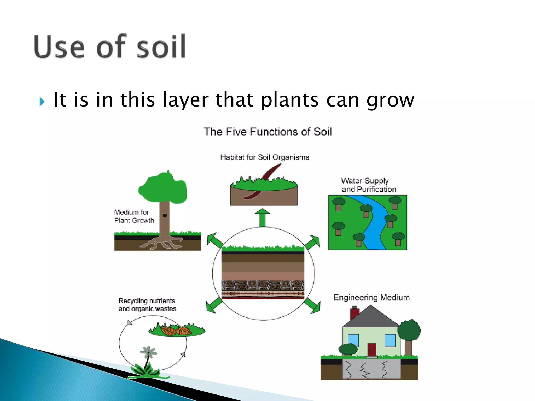  It is in this layer that plants can grow
 
