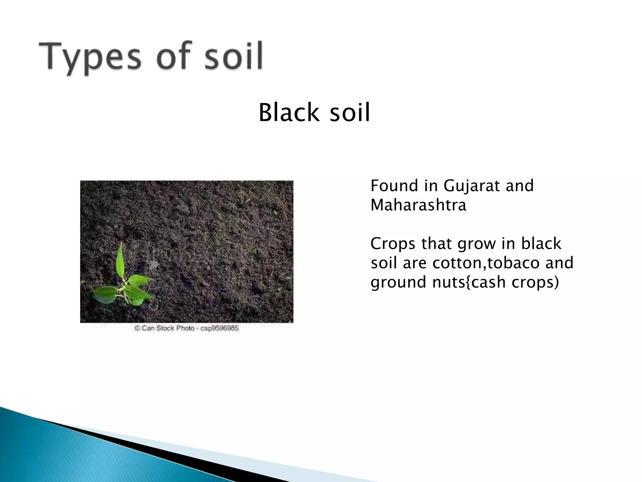 Black soil
Found in Gujarat and
Maharashtra
Crops that grow in black
soil are cotton,tobaco and
ground nuts{cash crops)
 